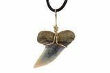 Fossil Mako Tooth Necklace - Bakersfield, California #95241-1